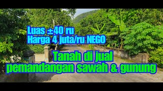 Land for sale with rice field and mountain views, located in Blitar.
