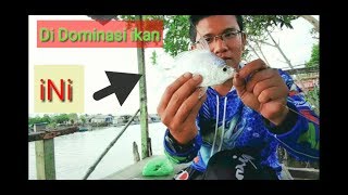 Banyak Straik Mancing ikan Lepes Bewarna Putih screenshot 5