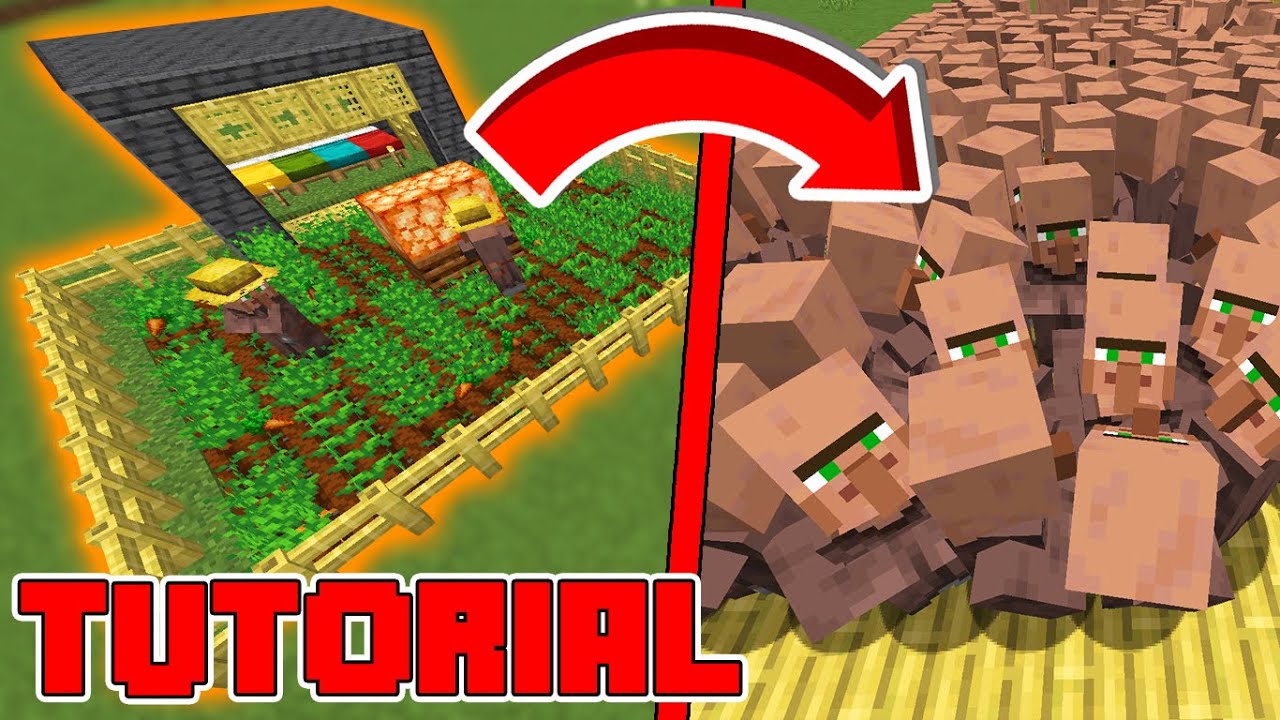 Tutorial Farm di VILLAGER FACILISSIMA | solo Java 1.14, 1.21.1+ - YouTube