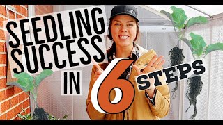 How to Start Your Own Seedlings- 6 Easy Steps!