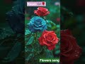 chinnachiru poove song#mano song#love#tamilsong#flowers#roses#roja🌹🎶💕 #song#rosegarden