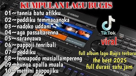 🔰KUMPULAN LAGU BUGIS VIRAL FYP tiktok 2024-2025 video perjalanan