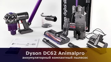 Обзор пылесоса Dyson DC62 Animalpro