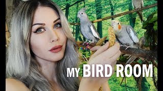 MY BIRD ROOM | Cockatiels, caiques, quaker parrot (flying SLOMO)