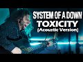 Marcelo carvalho  system of a down  toxicity  acoustic version