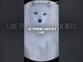 i͓̽f͓̽ I͓̽ q͓̽u͓̽i͓̽t͓̽ w͓̽o͓̽u͓̽l͓̽d͓̽ a͓̽n͓̽y͓̽ ️c̸̛͕̯͂̐̓͗͊͛͝â̸̙͐͑̌̿͛̽ŕ̶̛̰̱̈́̀́̑̿̾͛͂̈́͗̓̈́̒͘͝️e̷̽̍̚