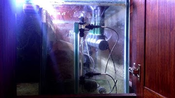 Rasheed Aquarium AWC with two GHL optical level sensors