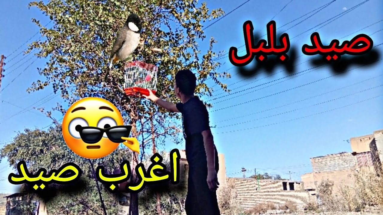 اغرب صيد 😱