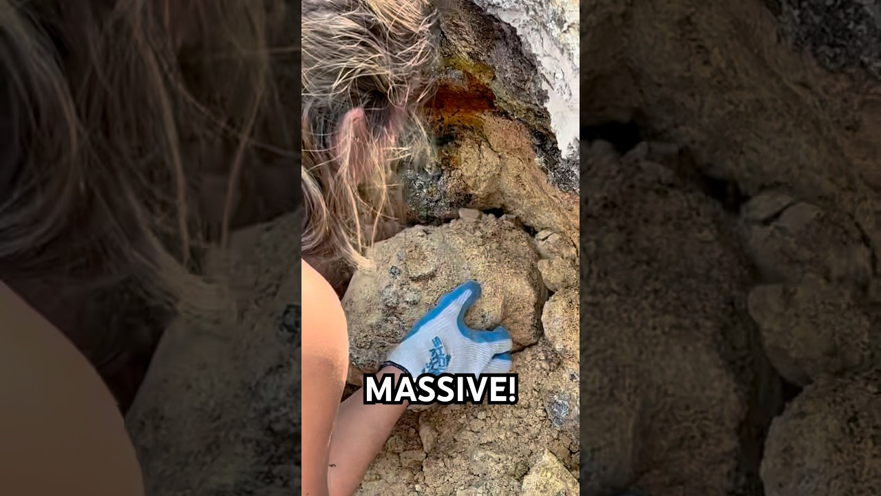 What’s Inside This Massive 60lb Thunder Egg Geode?! @thatrockhoundmom 