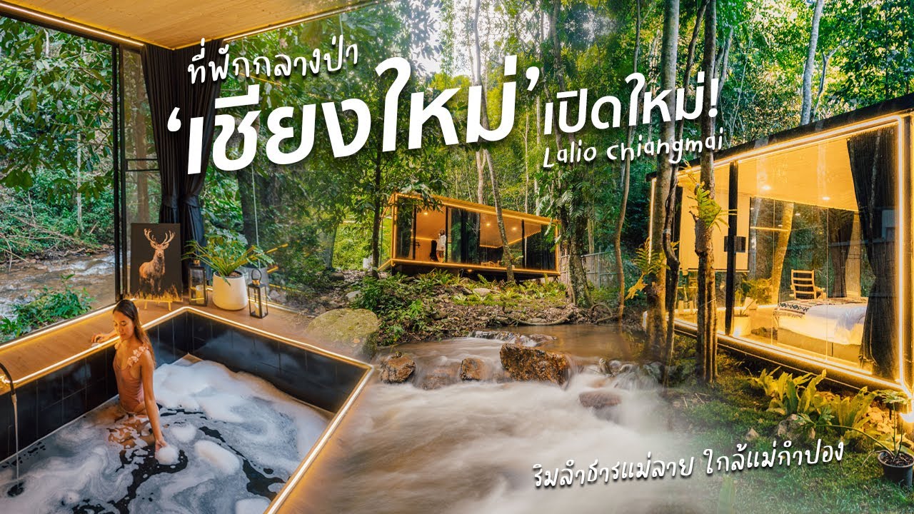 รีวิว ที่พักเชียงใหม่ เปิดใหม่! บ้านกระจกใสริมลำธาร กลางป่า ใกล้แม่กำปอง | Lalio  Chiangmai - YouTube