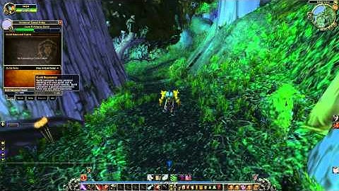 WoW Cataclysm : New guild interface