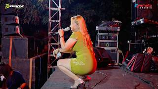 PRADA MUSIC - JANGAN TUNGGU LAMA LAMA   AYU NOVITA - WEDDING FAJAR & FISKA - KRAPYAK JEPARA