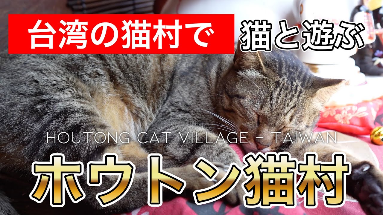猫好きにはたまらない！台湾にある猫村「猴硐（ホウトン）」に行ってみた！