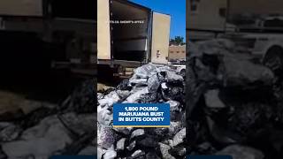 1,800 Pound Marijuana Bust In Butts County, Macon-Bibb Leaders Hear Protests Over Historic Rezoning