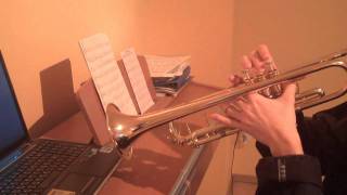 Yiruma - River Flows In You (trumpet cover)