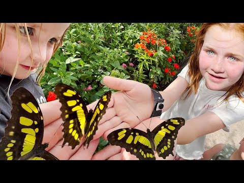 ADLEY is a BUTTERFLY PRINCESS!! Pet Duck in our House! Dinner routine with Elsa and Anna from Frozen