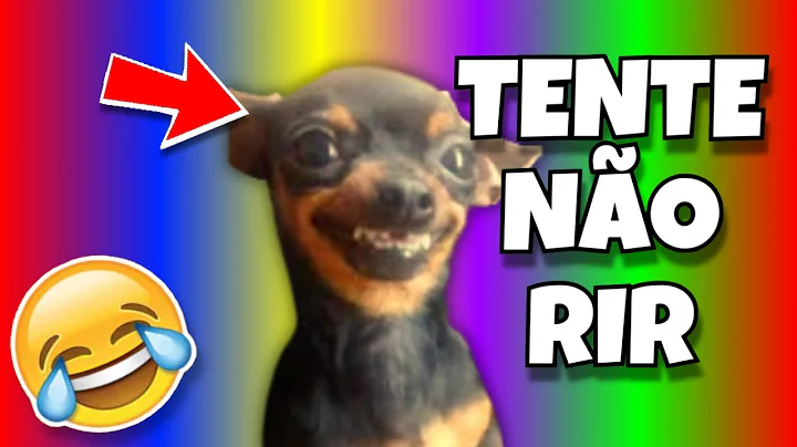 Watch the video about 🔴 TRY NOT TO LAUGH 🔴 FUNNY VIDEOS OF ANIMALS PETS CATS AND DOGS DOG MEMES CAT DOG