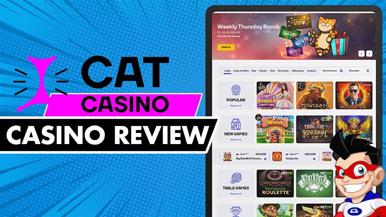 Cat Casino: Online Casino Review ($750 + 200 free spins) 🔥 - YouTube