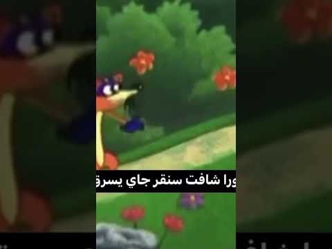 دورا إذا شافت سنقر