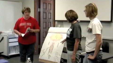 Physics of Wind Chimes