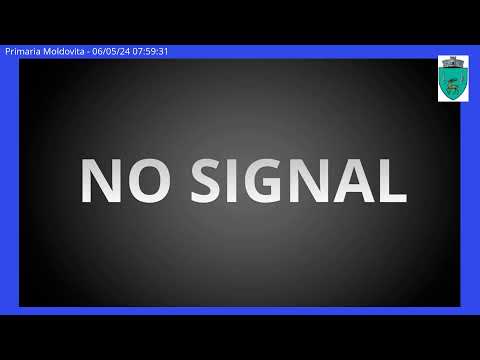 Ședința Consiliului Local al Comunei Moldovița