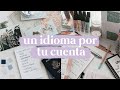 Como estudiar un idioma desde 0 por tu cuenta y cómo usar Anki y Notion