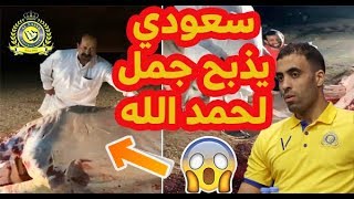 شاهد مشجع لنادي النصر السعودي يذبح جملًا احتفالًا بأهداف عبد الرزاق حمد الله في مرمى الهلال السعودي