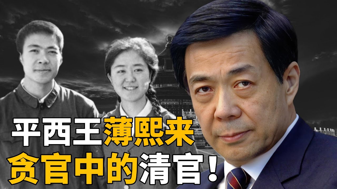 平西王薄熙来，野心勃勃的红二代，仕途生涯一路开挂，女性心目中的完美男人！一个巴掌，让他梦断中南海！