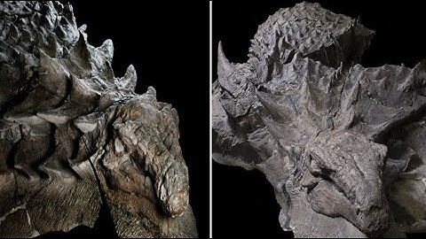 110 Million Year Old Armoured Dinosaur 