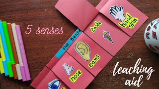 Five senses for kids/simple TLM/teaching aid for primary school student/Gj studies 😀