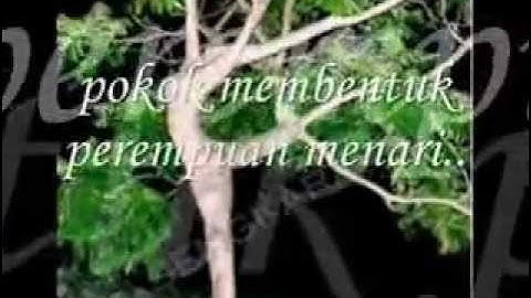 Tanda kebesaran Allah