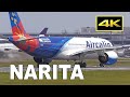 [4K] 777, A350, A330neo, 787, etc. - plane spotting at Tokyo Narita Airport 2023 / 成田空港