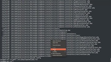 SilverStripe CMS installation on ubuntu Linux