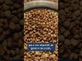 5 Bonnes Raisons De Consommer Les Lentilles Écologique 5 Bonnes Raisons De Consommer Les Lentilles Écologique