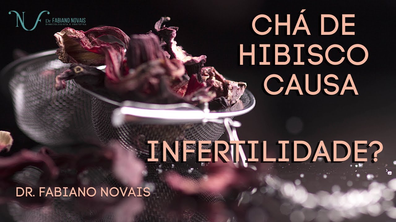 CHÁ DE HIBISCO CAUSA INFERTILIDADE?