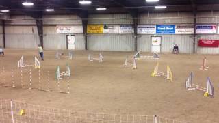 2016-6-25 Rosepose Premier Jumpers