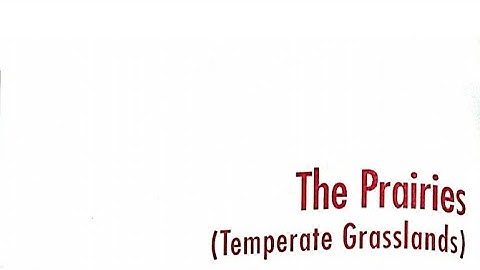 The Prairies| class 5 chapter 9 sst