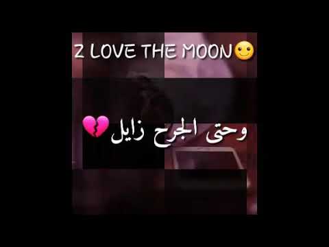 سامح محمد الشحي 