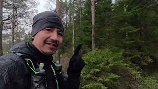 Torpjakt i Dals-Ed: Berget/Änelösa Berg (eller torpet som Gud glömde)