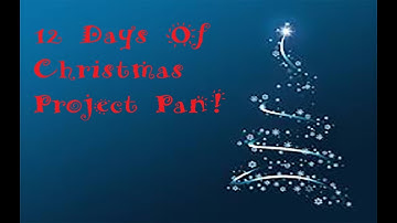 12 Days of Christmas Project Pan FINALE!