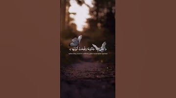 سورة الزمر #quran #القرآن_الكريم #السعودية #تلاوات #اسلام_صبحي #الدعاء #الدوسري #العفاسي #اسلام