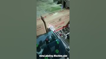 Automatic carton box top tape sealing machine with side pushing labeling machine video