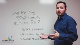 Does My Dog Really Need a Heartworm Test? by Aspen Grove Veterinary Care - Fort Collins 3,718 views 6 years ago 2 minutes, 33 seconds