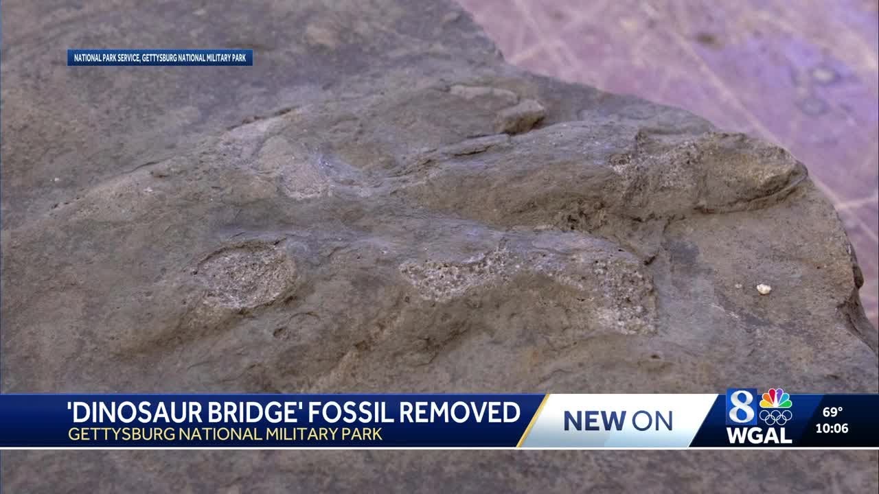 Jurassic-era dinosaur fossil recovered after alleged attempted theft in Gettysburg