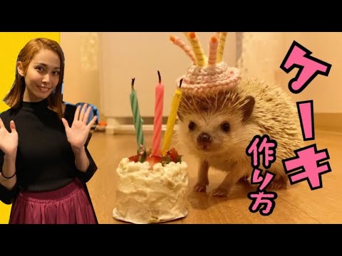 ハリネズミ専用ケーキの作り方 Youtube