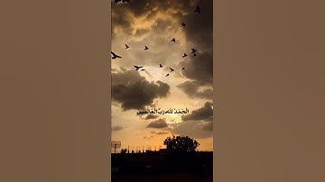 تلاوة الصباح