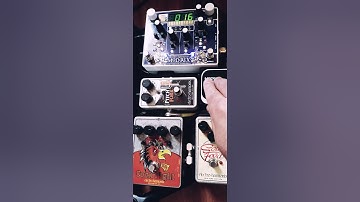 Mod Rex - EHX