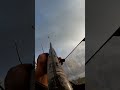 رماية وزة و إصابة مية بالمية Hunting برية Fishing Hunter Birds Goose 