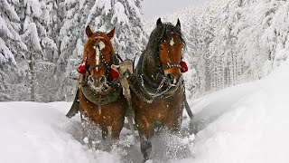 Celtic Christmas Carols, Soft Holiday Christmas Music "Winter Sleigh Ride" Open Road Folk Music screenshot 5