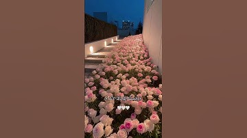 القران الكريم راحة نفسية #اكسبلور #القرآن_الكريم #لايك #صلوا_على_النبي #راحة_نفسية